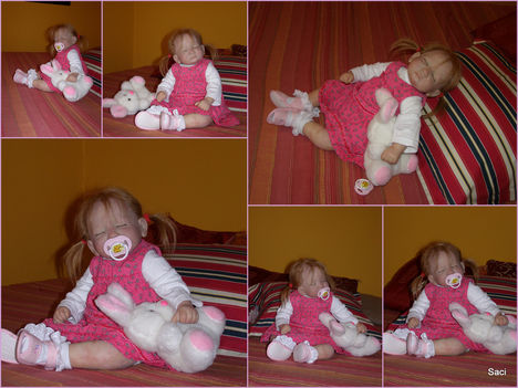 2011_01_15_Saci_picasa