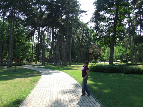 DSCF0168