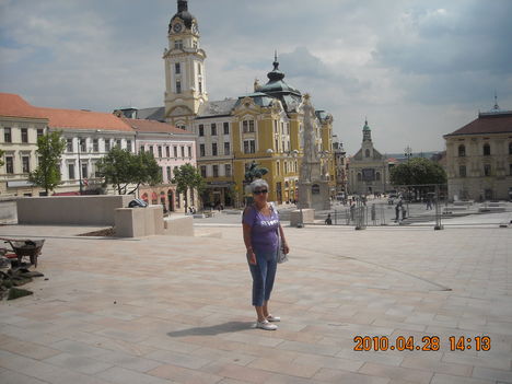 DSCN0381
