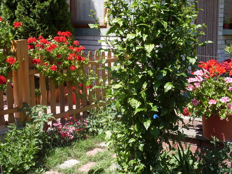 2011