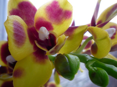 2011. Február , 4