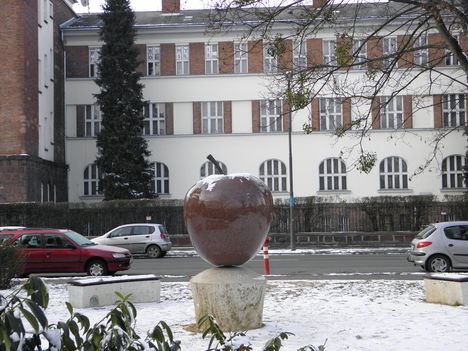 Berzsenyi Egyetem