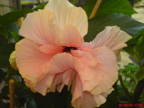 DSC01067