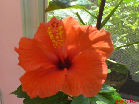 DSC01068