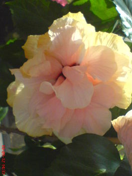 DSC01069