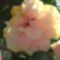 DSC01069