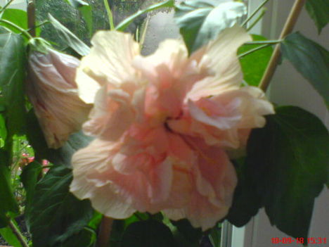 DSC01070