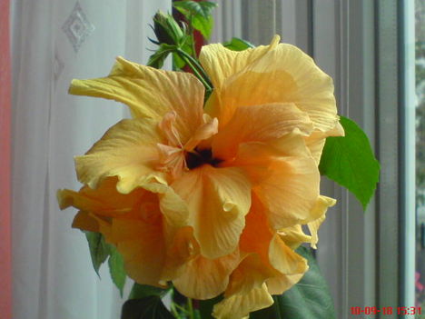 DSC01071