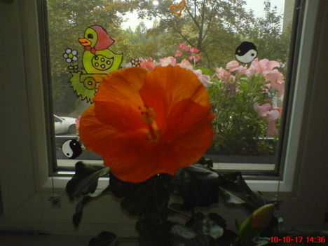 DSC01119