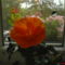 DSC01119