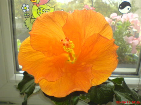 DSC01120