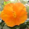 DSC01120