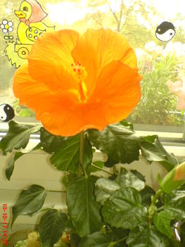 DSC01121