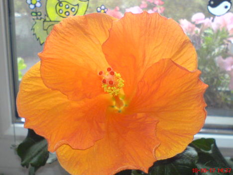 DSC01122