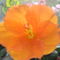DSC01122
