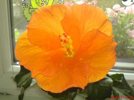 DSC01123