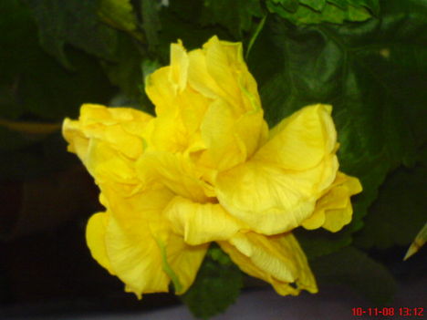 DSC01126