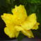 DSC01126