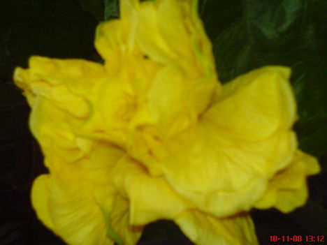 DSC01127