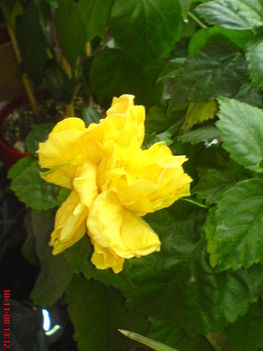 DSC01128