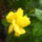 DSC01128