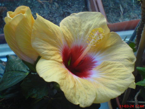 DSC01230
