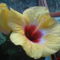 DSC01230