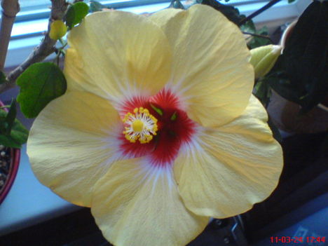 DSC01231