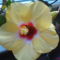 DSC01231