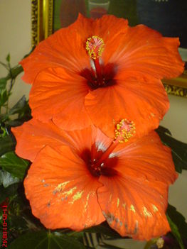 DSC01261