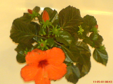 DSC01262