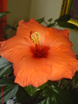 DSC01265