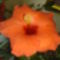 DSC01265