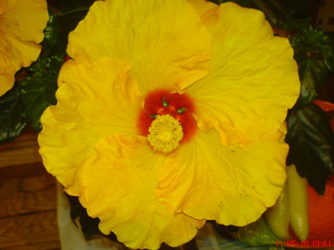 DSC01266