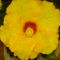 DSC01266