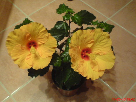 DSC01269