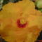 DSC01270