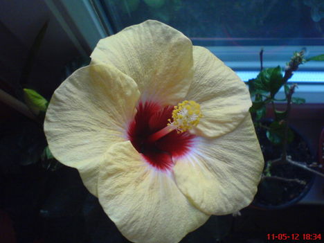DSC01272