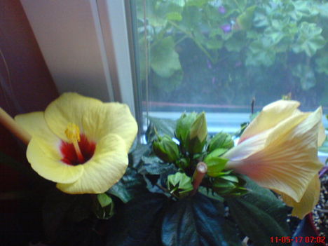 DSC01274