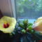 DSC01274