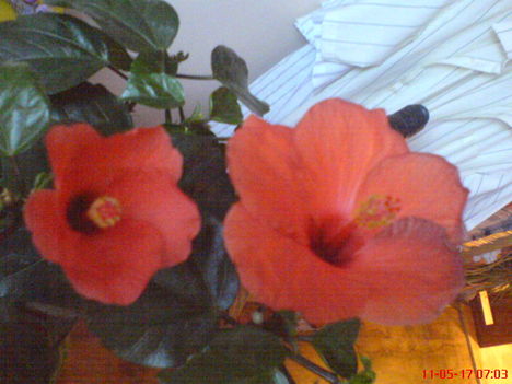 DSC01275