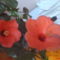 DSC01275