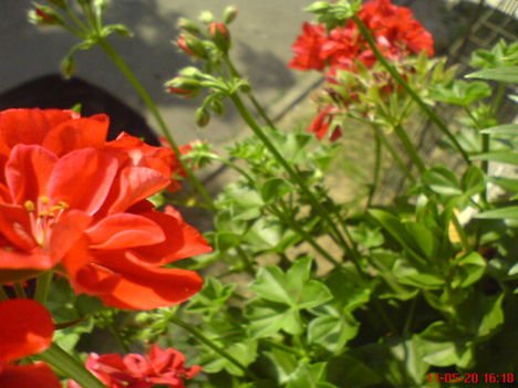 DSC01276