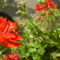 DSC01276