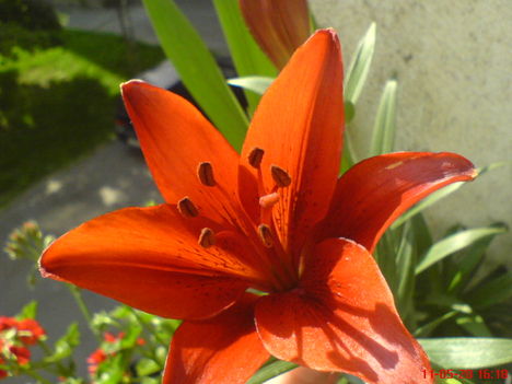 DSC01277