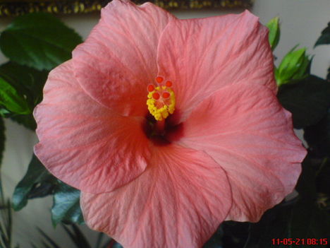 DSC01278
