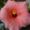 DSC01278