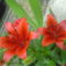 DSC01280