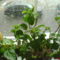 DSC01281