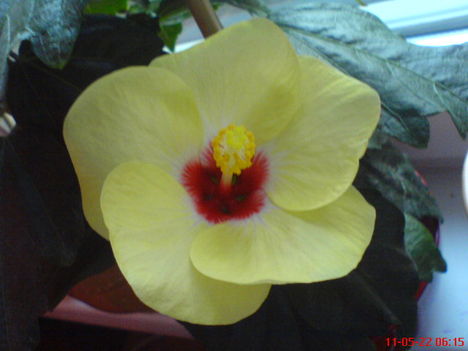 DSC01281 (1)